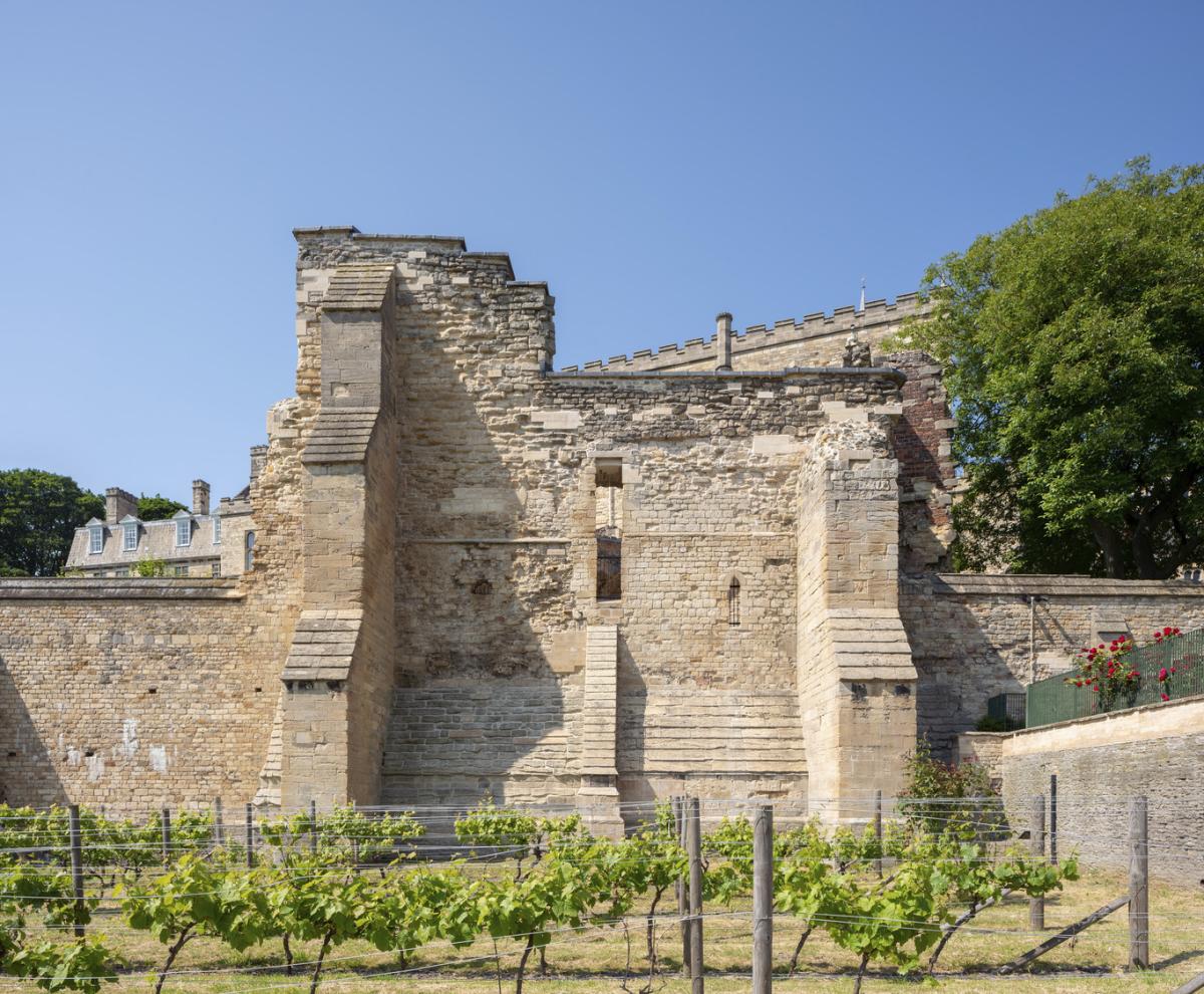 a stone wall with lead capping and two large buttresses in front of a small vineyard