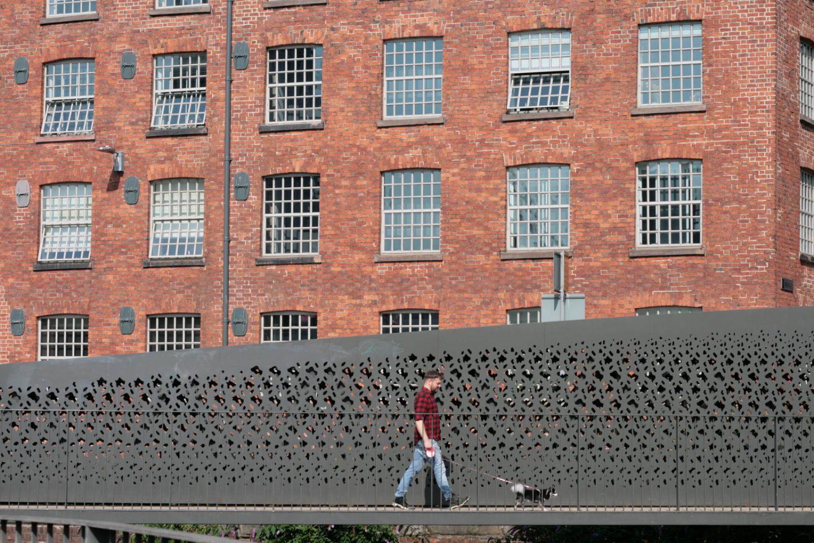 man walking his dog against the backdrop of a mill